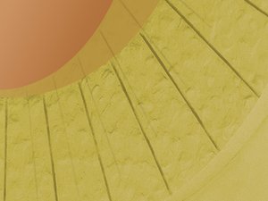 打造高效公司治理团队的经验分享